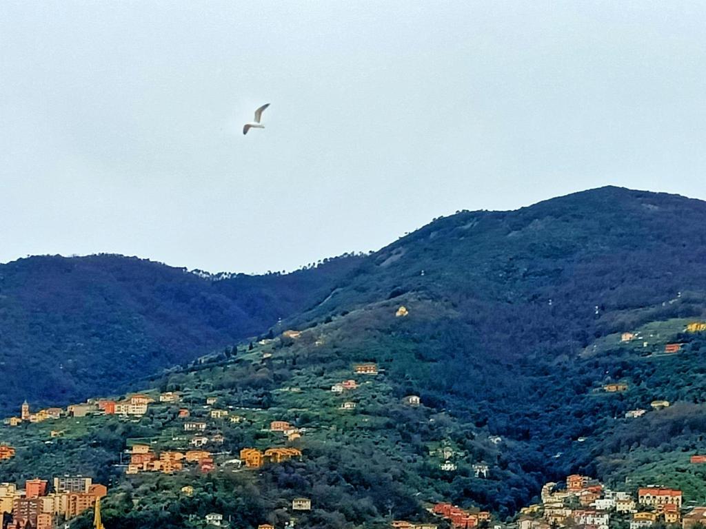 Paesaggio naturale nelle vicinanze dell'appartamento