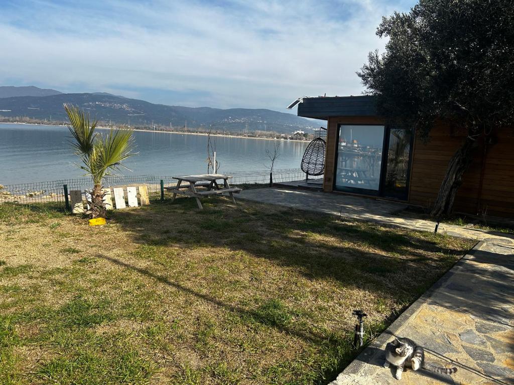 a building with a picnic table next to the water at Exclusive Bungalow by the Sea in Bandırma
