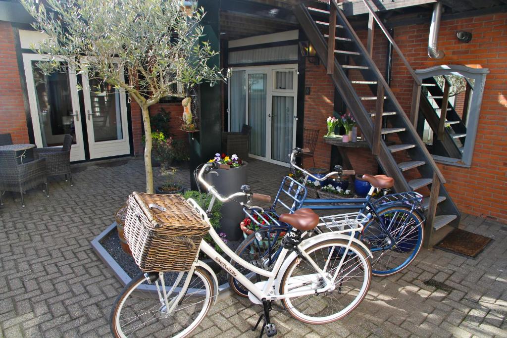 Hofje van Maas - Resim 11