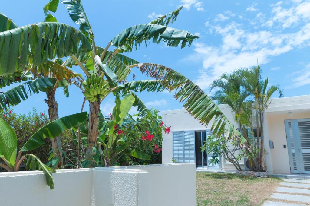 une maison avec des palmiers et une clôture blanche dans l'établissement MILLEFY's HOUSE - Vacation STAY 14247, à Ishigaki
