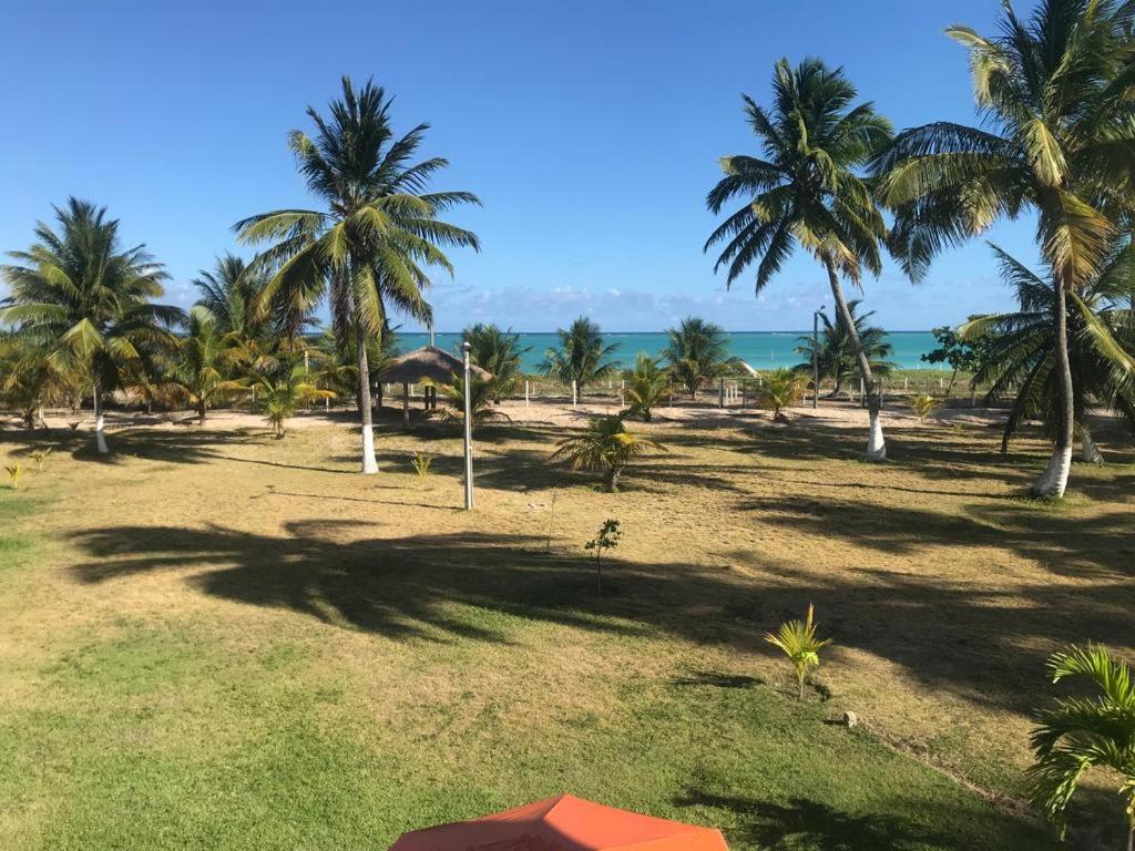 a view of a beach with palm trees and the ocean at Um lugar no Paraíso ! in Maragogi