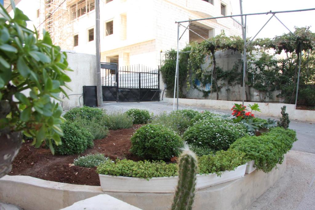 Zahrada ubytování Ramallah Hostel