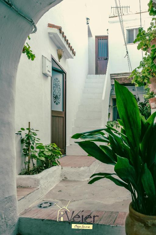 Fotografie z fotogalerie ubytování CASA LOUNA v destinaci Vejer de la Frontera