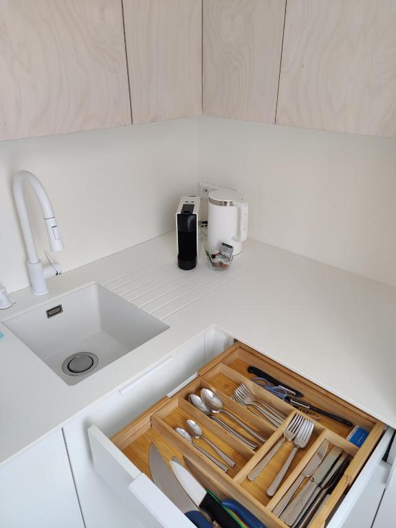 Kuchyň nebo kuchyňský kout v ubytování Apartmán U Zlaté břízy Krušné hory - Erzgebirge