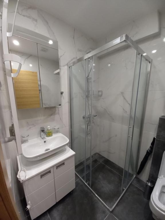 Ein Badezimmer in der Unterkunft Apartman 17 Divcibare