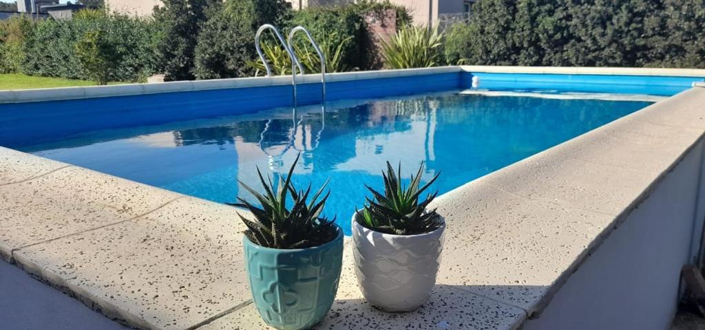 胡寧的住宿－Hermosa Casa Quinta en Junin，两个盆栽植物坐在游泳池旁的树 ⁇ 上