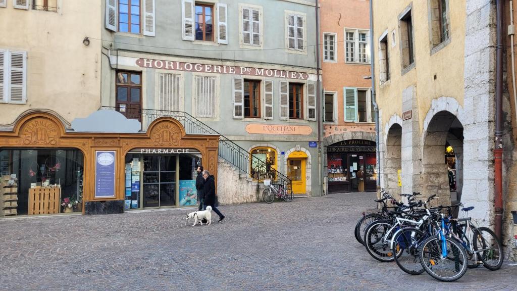 Zwierzęta zatrzymujące się w obiekcie Annecy Lake Central