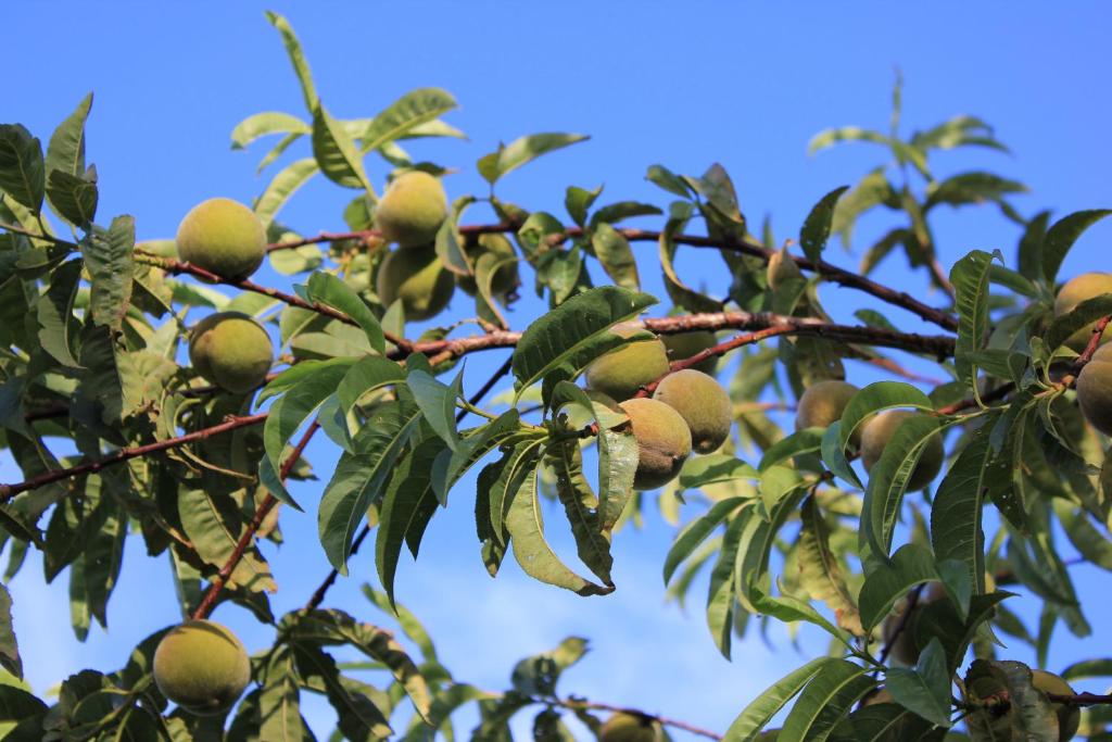 Lakeview Small Studio - Resim 38