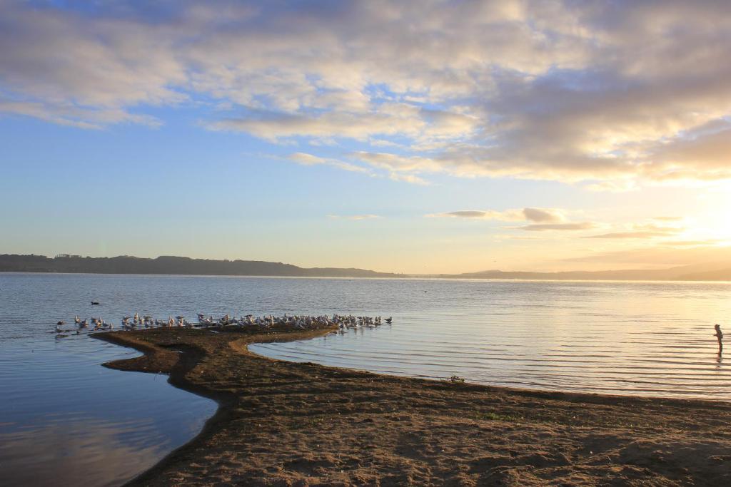 Lakeview Small Studio - Resim 39