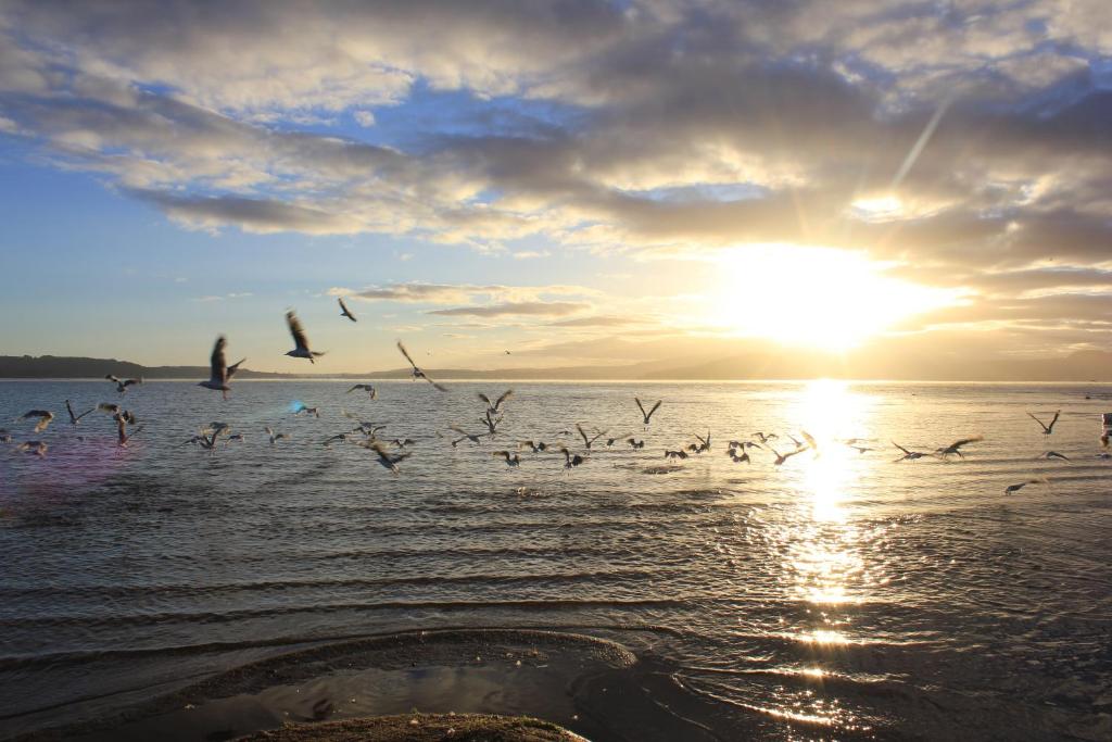 Lakeview Small Studio - Resim 22