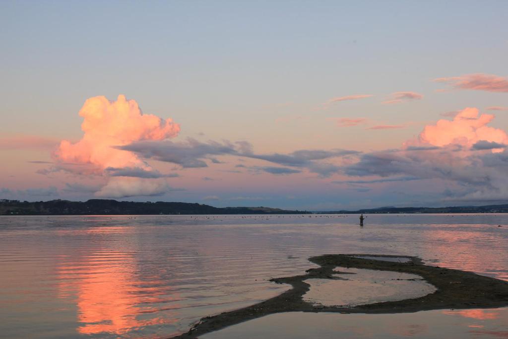 Lakeview Small Studio - Resim 17