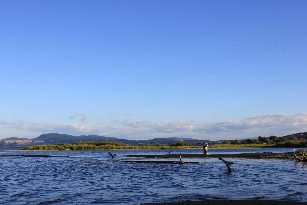 Lakeview Small Studio - Resim 40