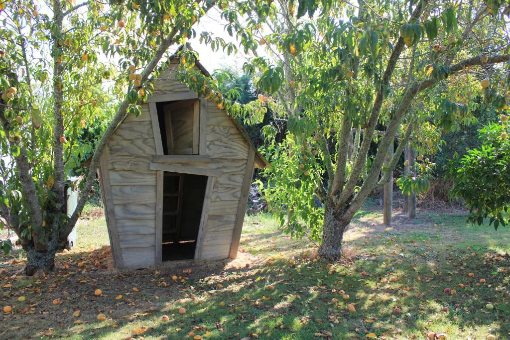 Lakeview Small Studio - Resim 33