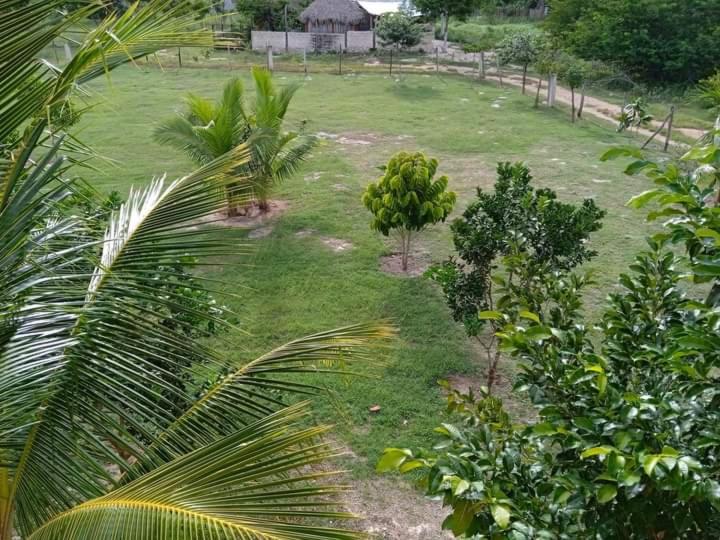 Zahrada ubytování Ecohotel Shalom