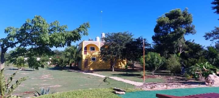 Zahrada ubytování Ecohotel Shalom