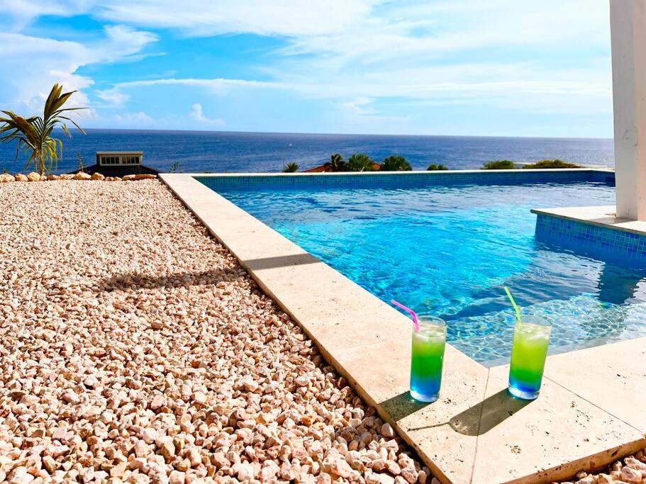 WillibrordusにあるNEU!!! Apartment im Luxory Resort Coral Estateの岩の上に座ってドリンク2杯を楽しめるスイミングプール