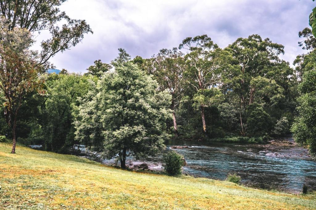 a river in the middle of a field with trees at BIG4 Breeze Holiday Parks - Eildon in Eildon
