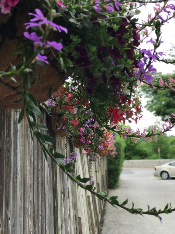 Giardino di Bedham Hall B&B