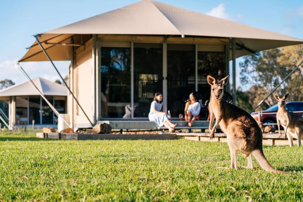 Ospiti di Habitat Noosa con animali domestici