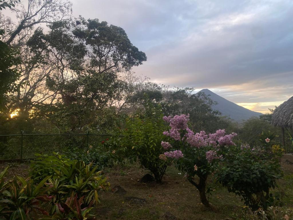 a garden with trees and purple flowers and a fence at Eco-Lodge El Porvenir. in Santa Cruz
