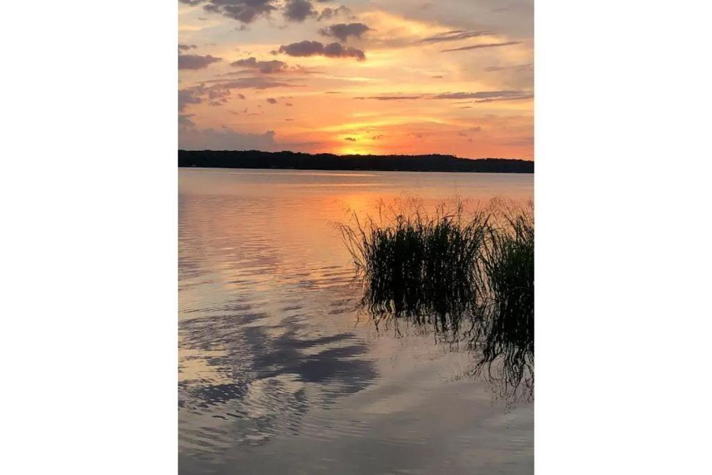Catfish Cove Lake Striker, Henderson Updated 2024 Prices