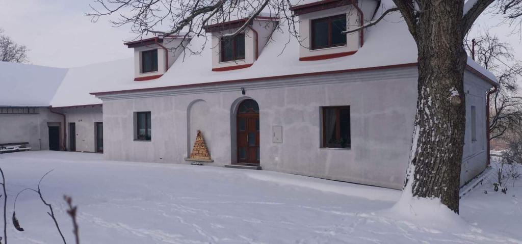 Růžičkův dvůr v zimě