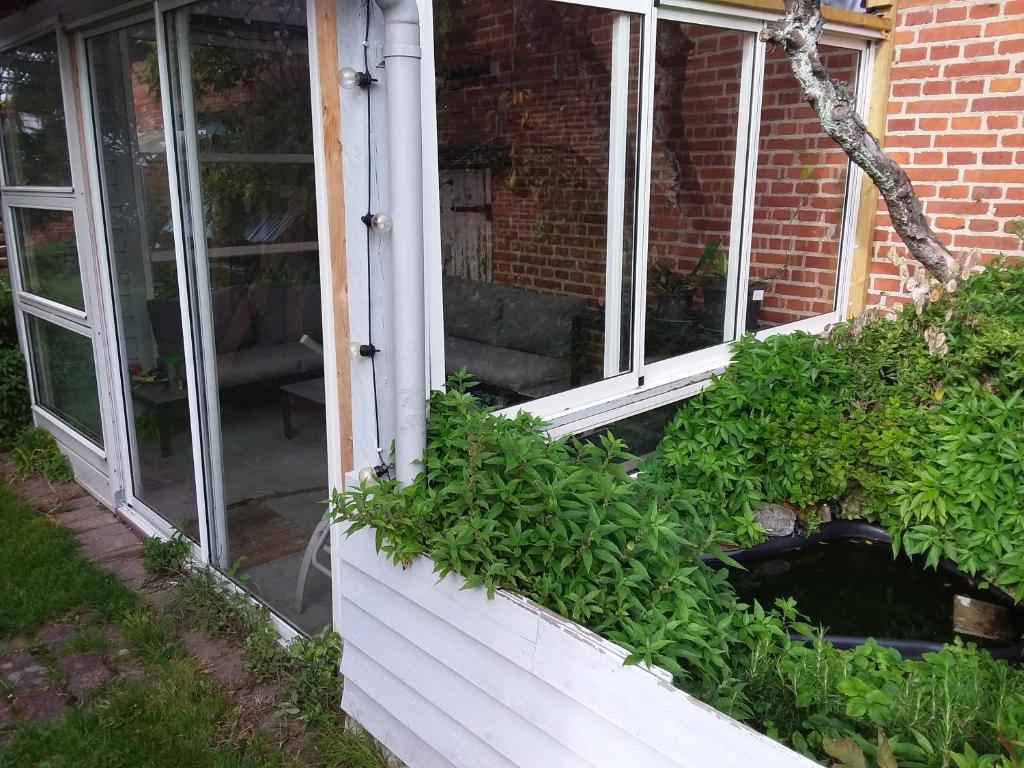 Zahrada ubytování Københavnsvej