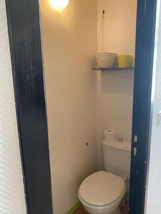 a bathroom with a white toilet in a room at Loft&#47;jardin et parking : Le Petit Clos Bourdet in Honfleur