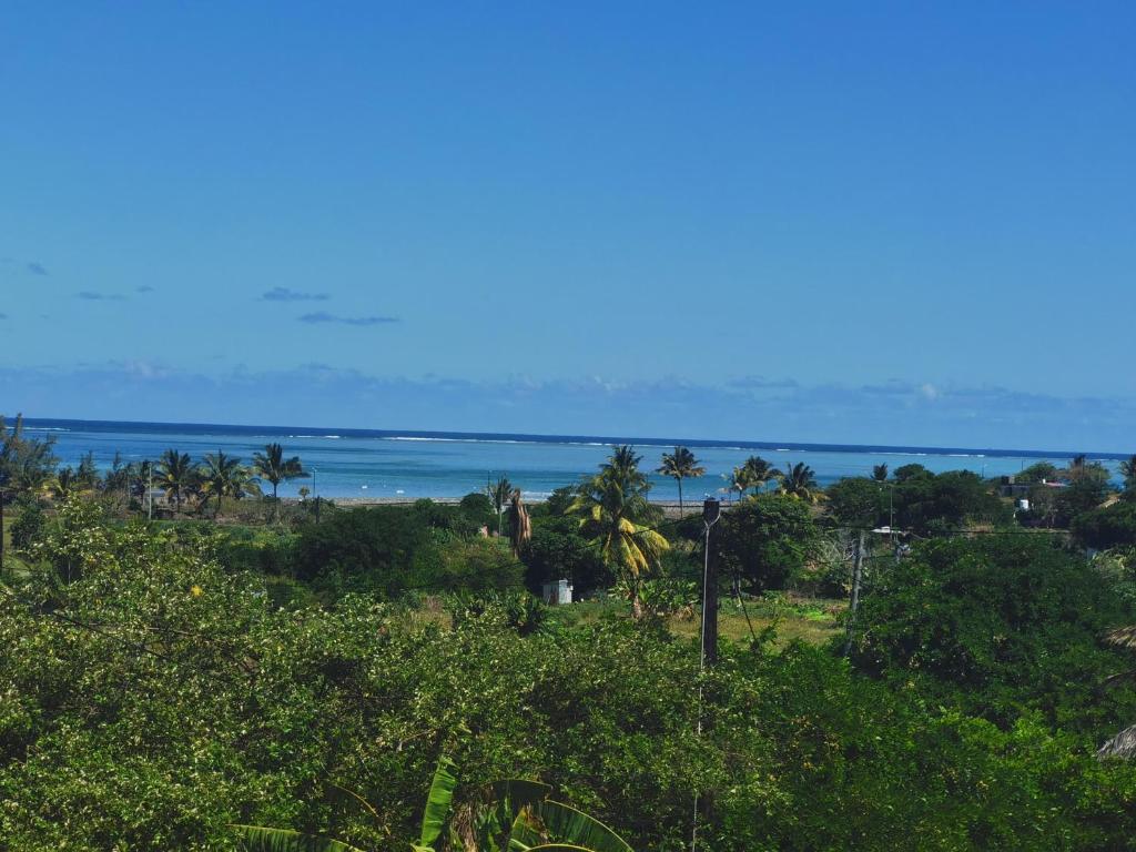 a view of the ocean from a field of trees at La Belle du Sud in Rodrigues Island