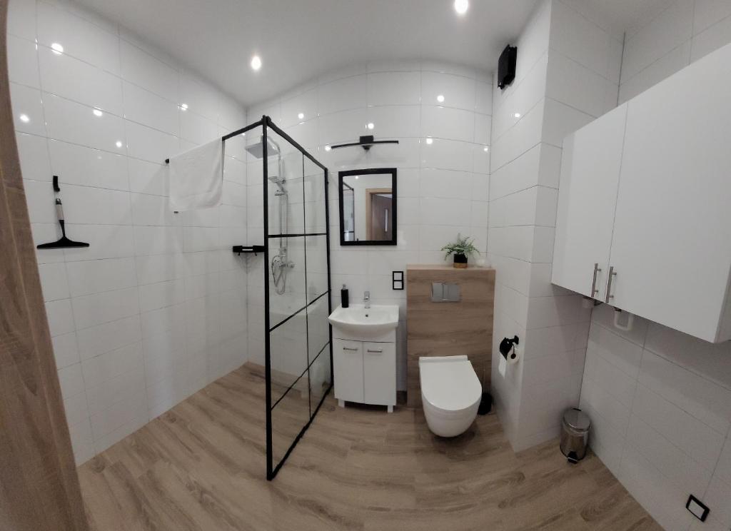 Kúpeľňa v ubytovaní Apartamenty Josef