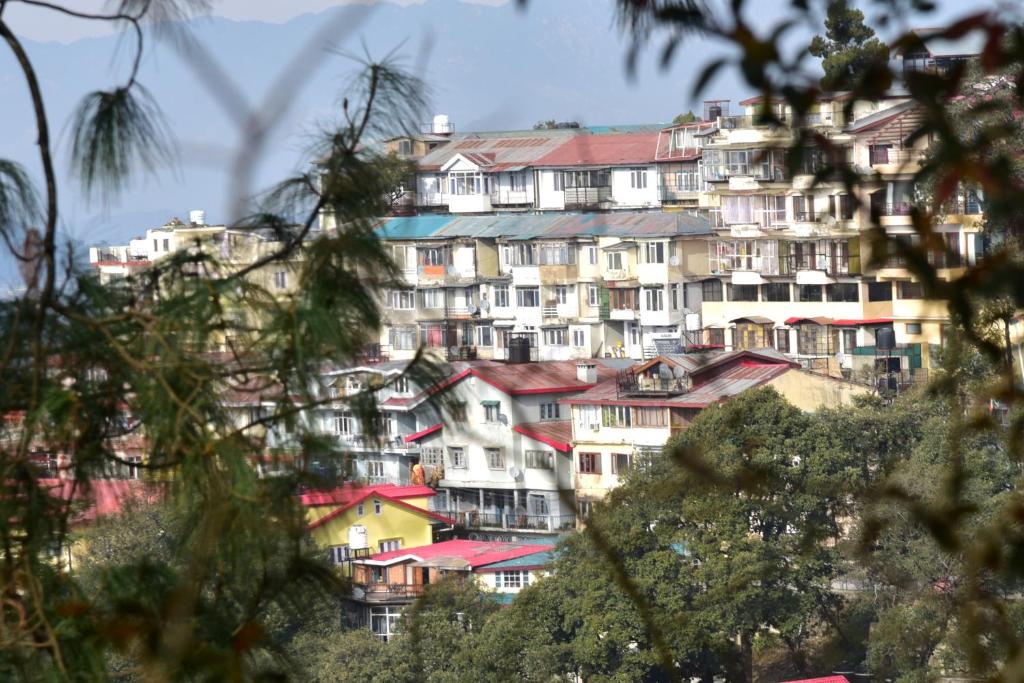 a group of buildings on top of a hill at Samriti Apartments in Shimla