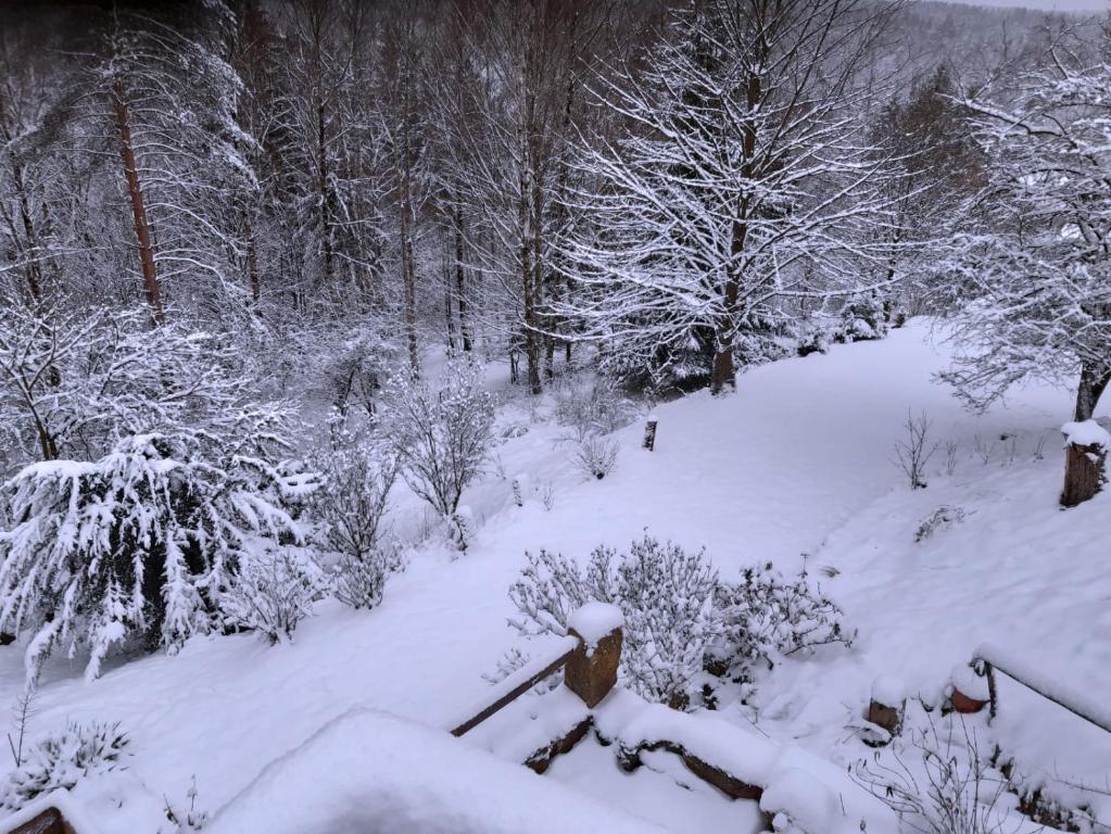 Obiekt Wellness Chaloupka Mezná - Národní park České Švýcarsko zimą