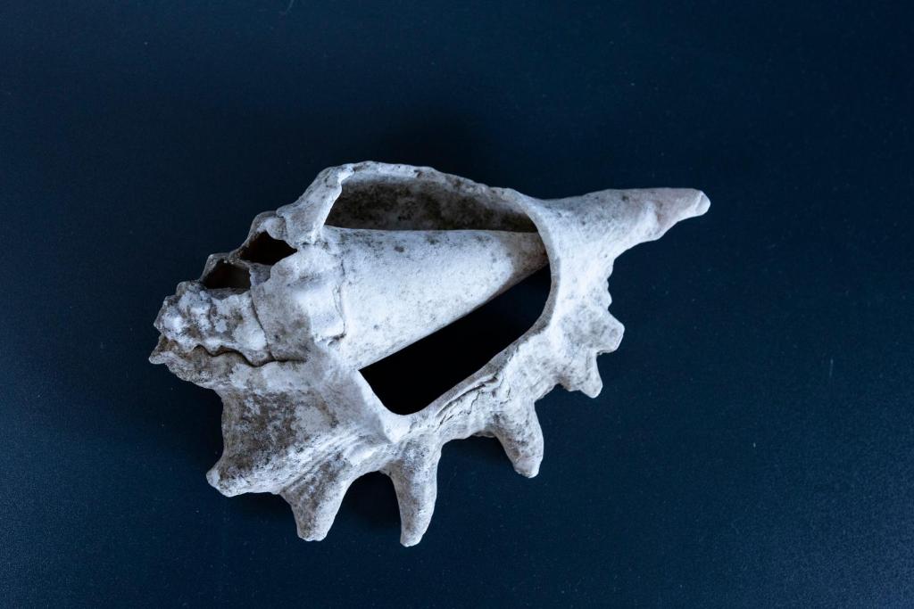 El Gouna Elite Worldwide Sea & Garden Residences - Hurghada, Egypt - 15