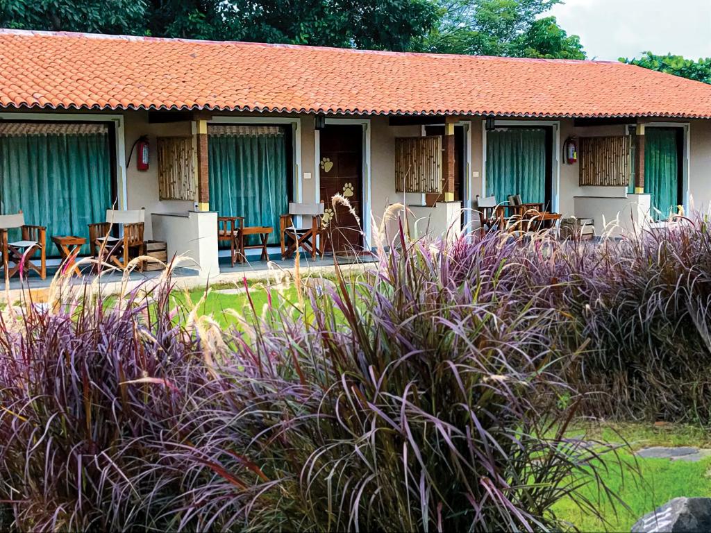 Giardino di Asiatic Lion Lodge
