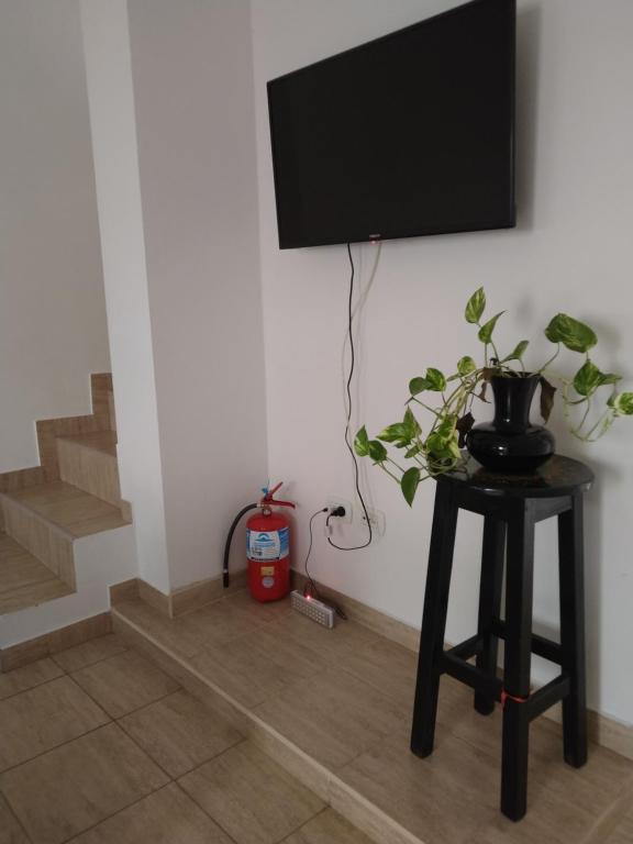 un televisor en una pared con una mesa con una planta en Jardin del Centro en Villa Elisa