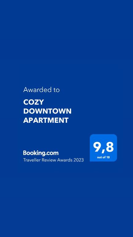 COZY DOWNTOWN APARTMENT - 17