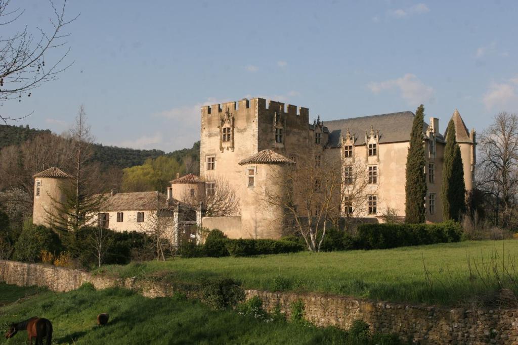 a castle in a field with a horse in the foreground at Bastide la Fondue in Allemagne-en-Provence