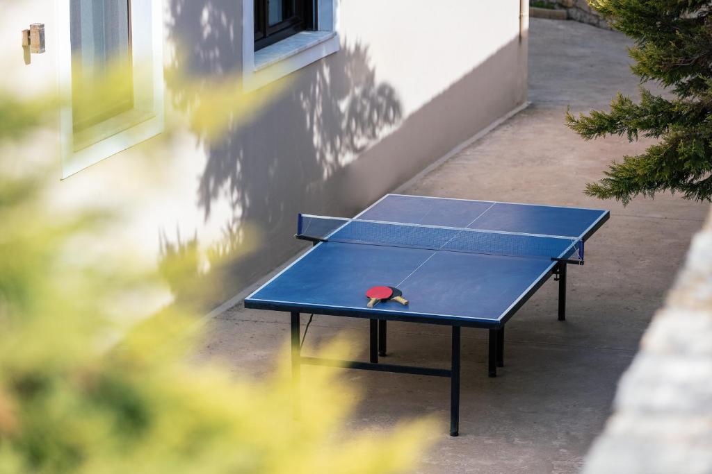 Stolní tenis v ubytování Akira Villa nebo okolí