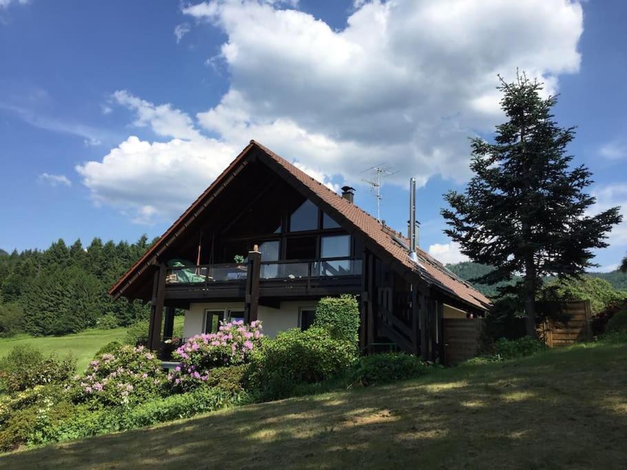 een huis op een heuvel met een boom bij Dachstudio in Traumlage mit spektakulärem Ausblick in Bühlertal