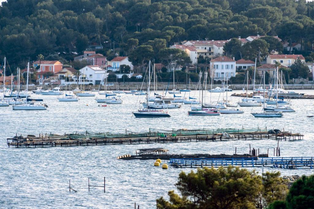 Príroda v okolí apartmánu