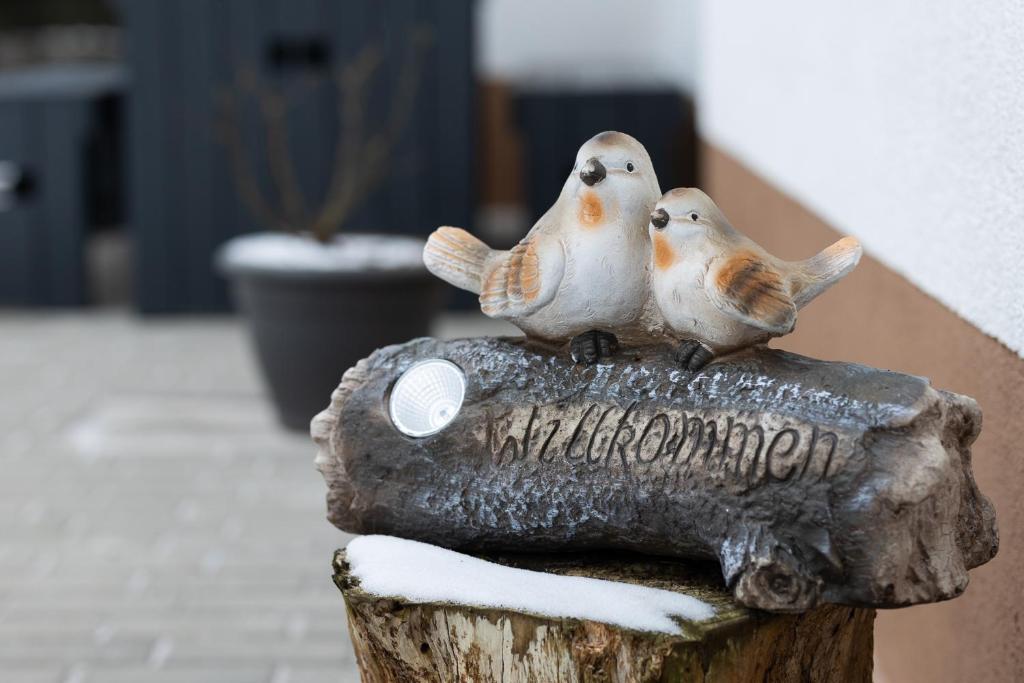 two birds sitting on top of a piece of wood at Ferienwohnung am Bach in Oberkotzau