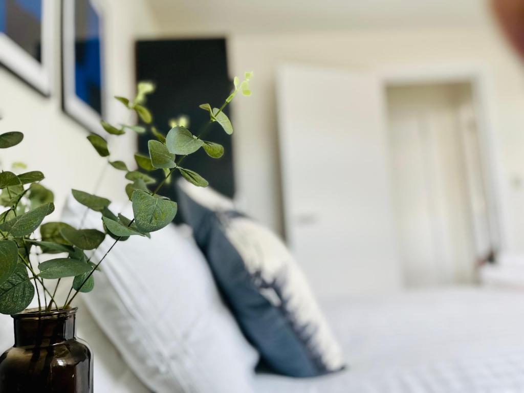 Fabulous one bedroom apartment near Old Trafford Stadium, Manchester Updated 2024 Prices