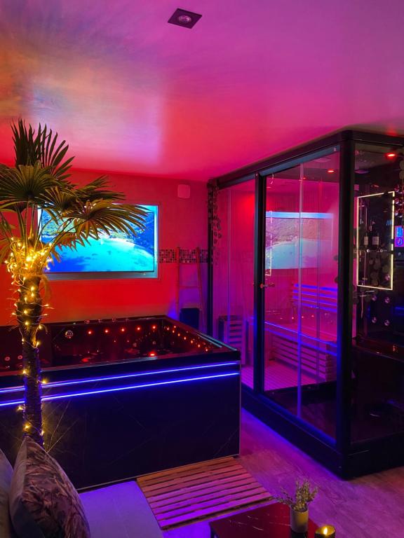 a room with a tub with a tv and a palm tree at BIOTY CHILL & SPA in Le Blanc-Mesnil