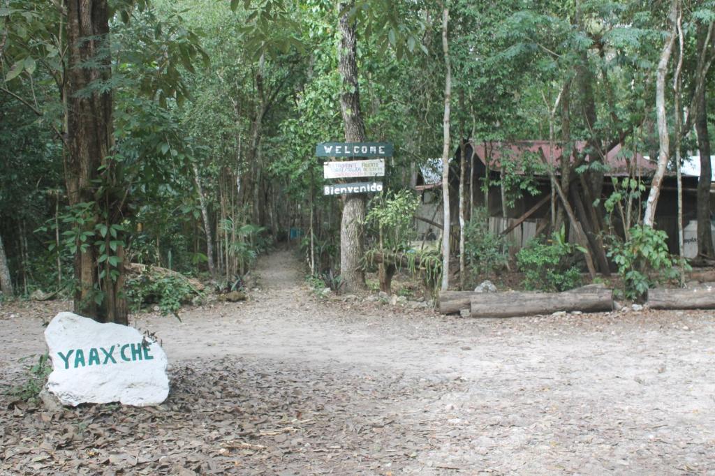 Fotografie z fotogalerie ubytování Campamento Yaax Che en Calakmul v destinaci Conhuas