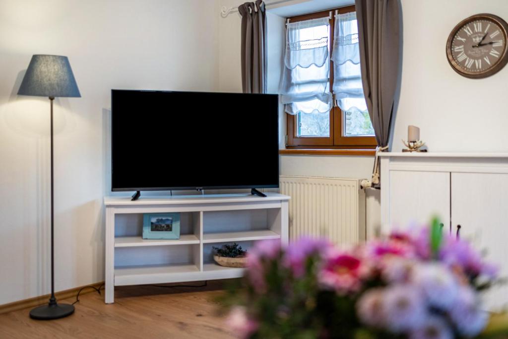 TV a/nebo společenská místnost v ubytování Wohnung Sunntratn