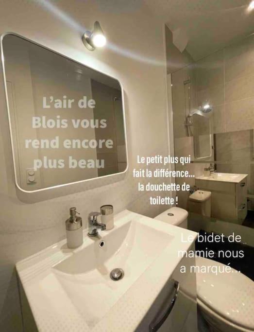 łazienka z umywalką i lustrem w obiekcie Coeur de Blois appartement neuf w mieście Blois