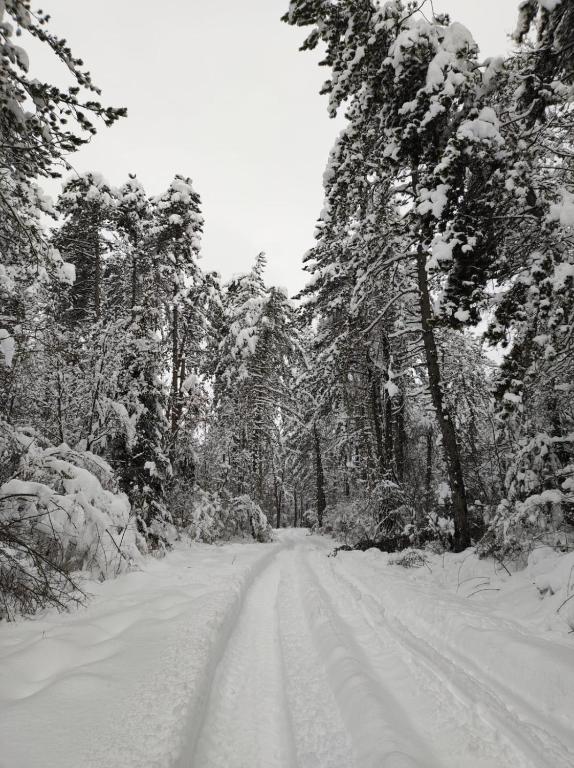 Kuća za odmor Antonija - 15