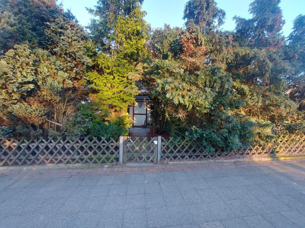 a gate in front of a fence with trees at Ferienhaus Cissy in Lübeck