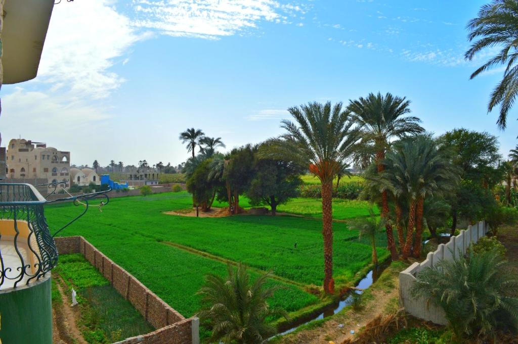 a park with palm trees and a green field at Farida Apartments in Luxor