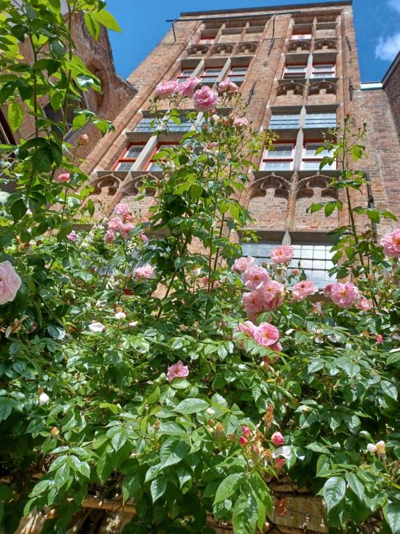 Zahrada ubytování De Zomere B&B